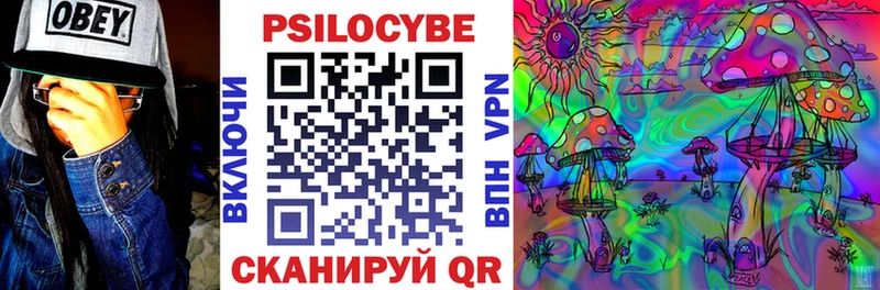 Псилоцибиновые грибы Cubensis  Соликамск 